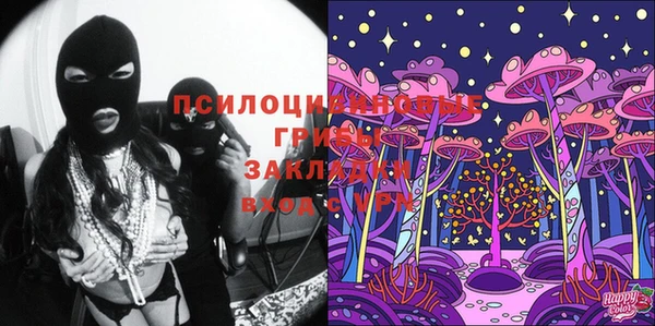 спиды Валдай